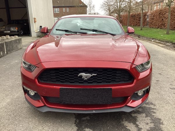 Ford Mustang 2.3 EcoBoost Basis - Image 11