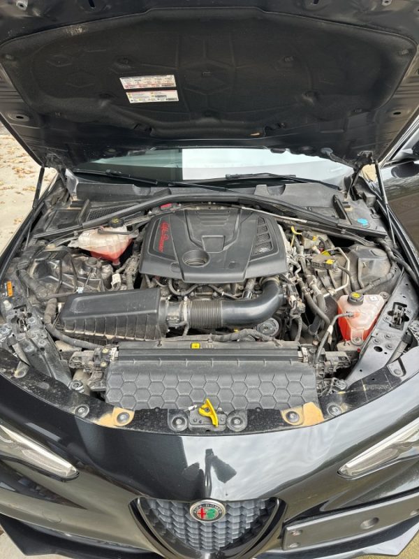 Alfa Romeo Giulia 2.0 Turbo - Image 9